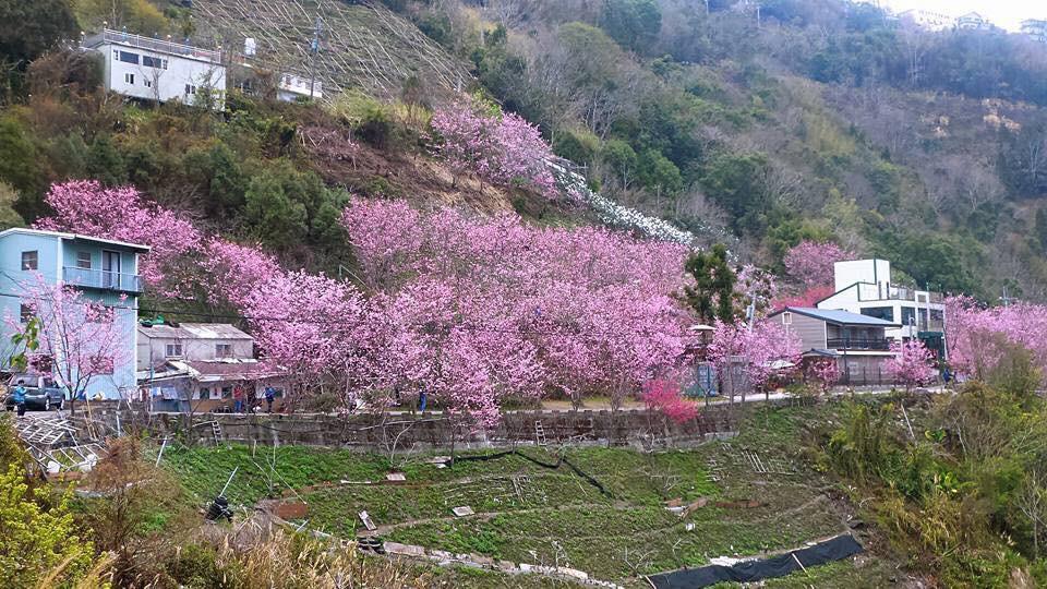 La La Shan 5.5Knong Zhuang Hualing المظهر الخارجي الصورة