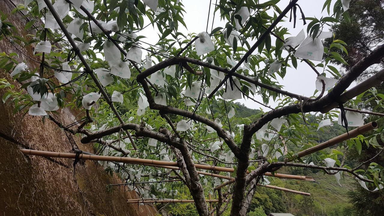 La La Shan 5.5Knong Zhuang Hualing المظهر الخارجي الصورة