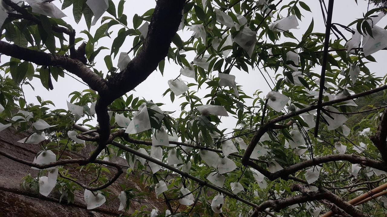 La La Shan 5.5Knong Zhuang Hualing المظهر الخارجي الصورة